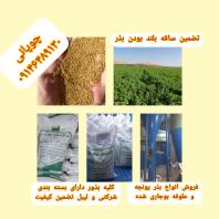 فروش انواع بذر یونجه و شبدر بوجاری شده